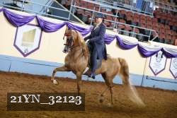 21YN_32123 thumbnail