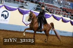 21YN_32125 thumbnail