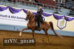 21YN_32126 thumbnail