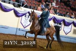 21YN_32128 thumbnail