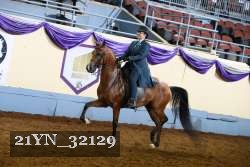 21YN_32129 thumbnail