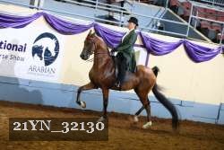 21YN_32130 thumbnail
