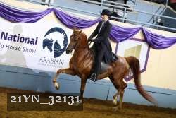 21YN_32131 thumbnail