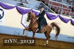 21YN_32132 thumbnail