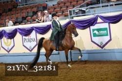 21YN_32181 thumbnail