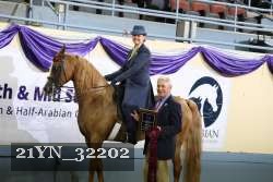 21YN_32202 thumbnail