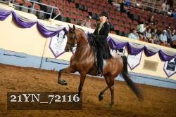 21YN_72116 thumbnail