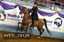 21YN_72136 thumbnail