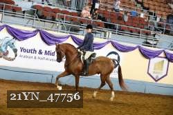 21YN_47756 thumbnail