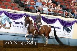 21YN_47883 thumbnail