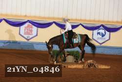 21YN_04846 thumbnail