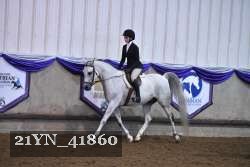 21YN_41860 thumbnail