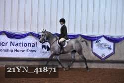 21YN_41871 thumbnail