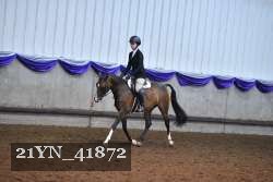 21YN_41872 thumbnail