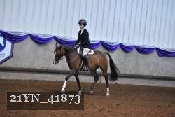 21YN_41873 thumbnail