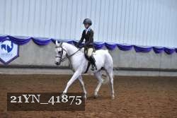 21YN_41875 thumbnail
