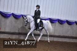 21YN_41877 thumbnail