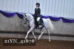 21YN_41878 thumbnail
