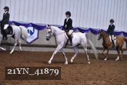 21YN_41879 thumbnail