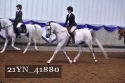 21YN_41880 thumbnail