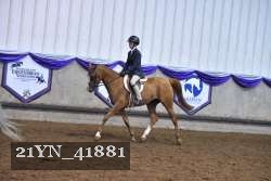 21YN_41881 thumbnail