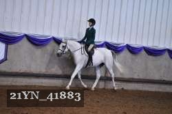 21YN_41883 thumbnail