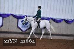 21YN_41884 thumbnail