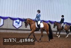 21YN_41886 thumbnail