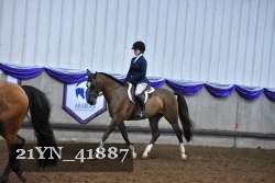 21YN_41887 thumbnail