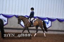 21YN_41888 thumbnail