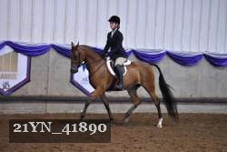 21YN_41890 thumbnail