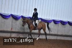 21YN_41891 thumbnail