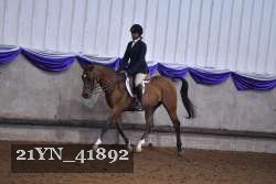 21YN_41892 thumbnail
