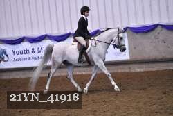 21YN_41918 thumbnail