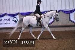 21YN_41919 thumbnail