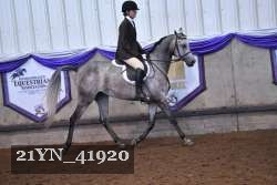 21YN_41920 thumbnail