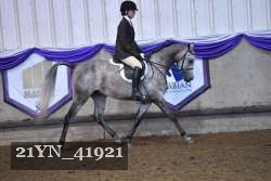 21YN_41921 thumbnail