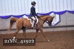 21YN_41922 thumbnail
