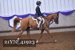 21YN_41923 thumbnail