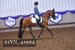21YN_41924 thumbnail