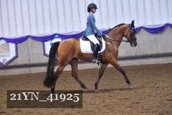 21YN_41925 thumbnail