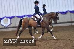 21YN_41926 thumbnail