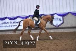 21YN_41927 thumbnail