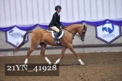 21YN_41928 thumbnail