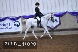 21YN_41929 thumbnail