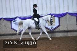 21YN_41930 thumbnail