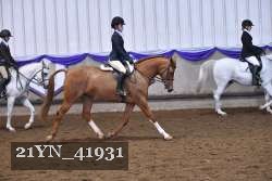 21YN_41931 thumbnail