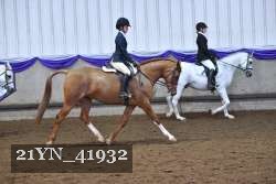21YN_41932 thumbnail