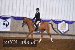 21YN_49353 thumbnail