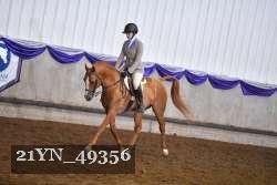 21YN_49356 thumbnail